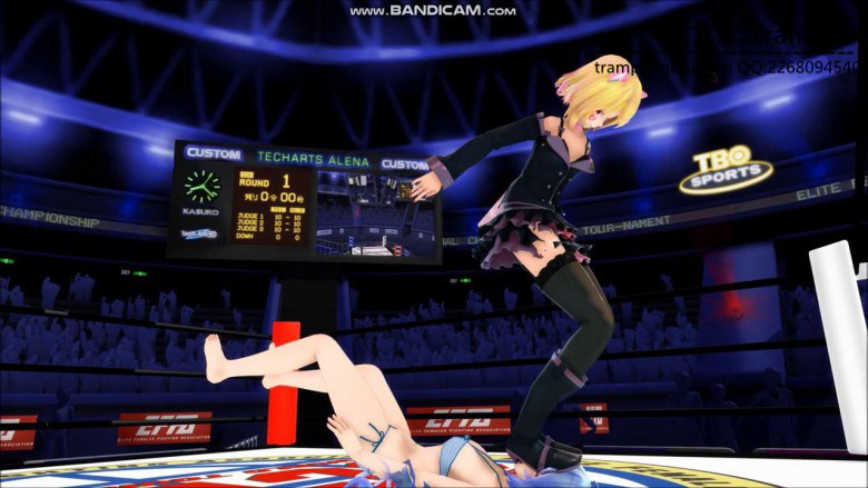 MMD动画女女格斗虐打系列,撸点极高