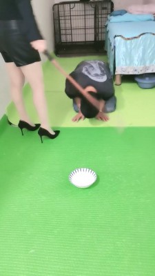 【美容院S】狗笼圈养手铐捆绑跪求圣水/转胯爬行 JS23051203