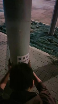 【鹿梦兮】户外让狗下跪舔鞋/转胯 bf28343