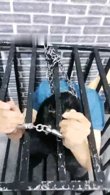 【静雅工作室】地牢捆绑囚禁重刑圈养狗【完整版】 JS23051605
