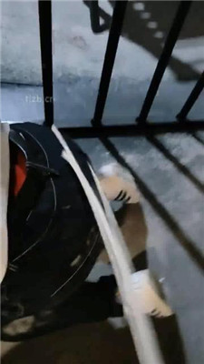 【月岚】户外长靴踩狗-藤条抽