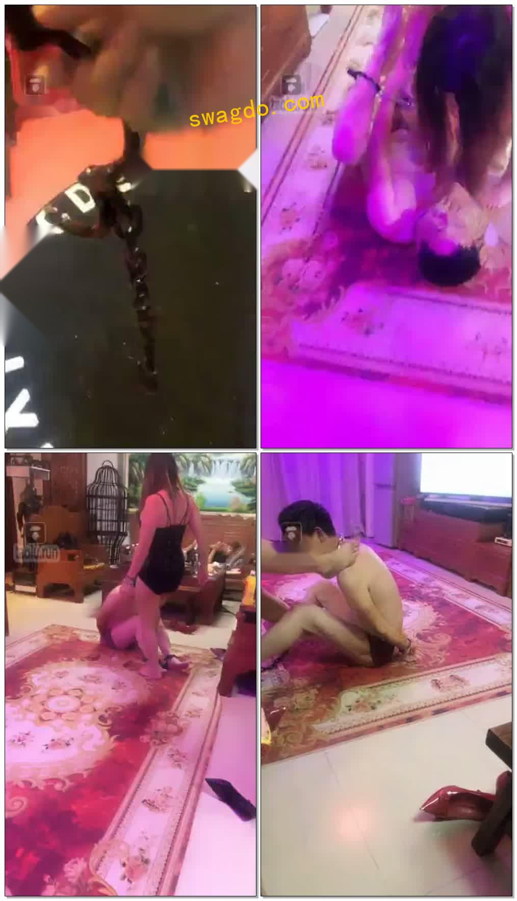 【10.24】牛奶芥末【32分钟】【喬傢大院直播间】