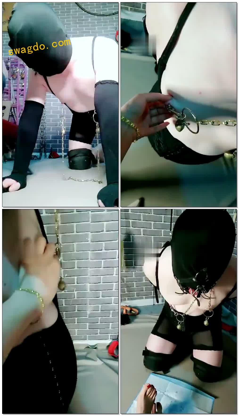 【东营天香百合】我们家的狗狗成精了【68分钟】