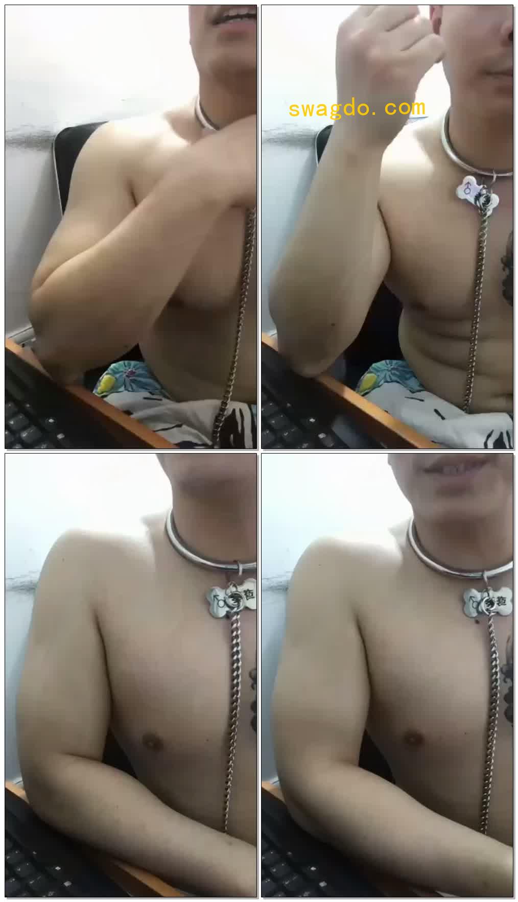 【莺葵】M戴永久项圈【60分钟】