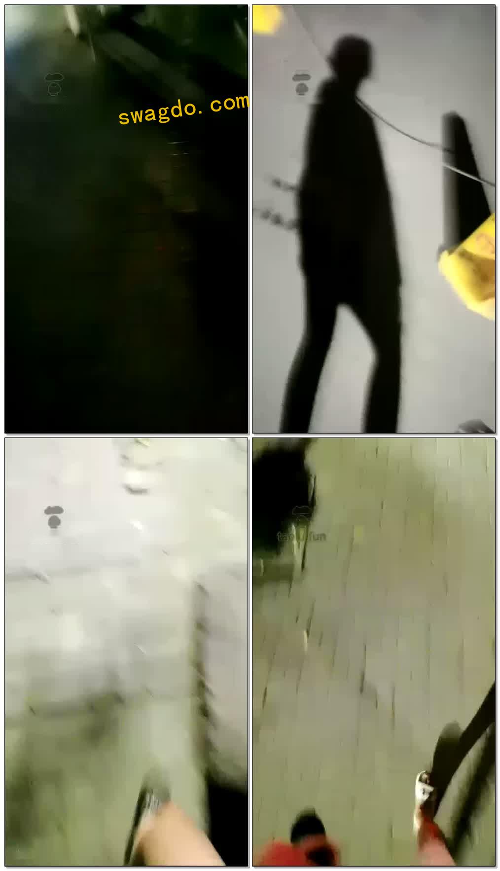 【夏馨s】户外收拾小狗狗（官方已删）【20分钟】【高清】