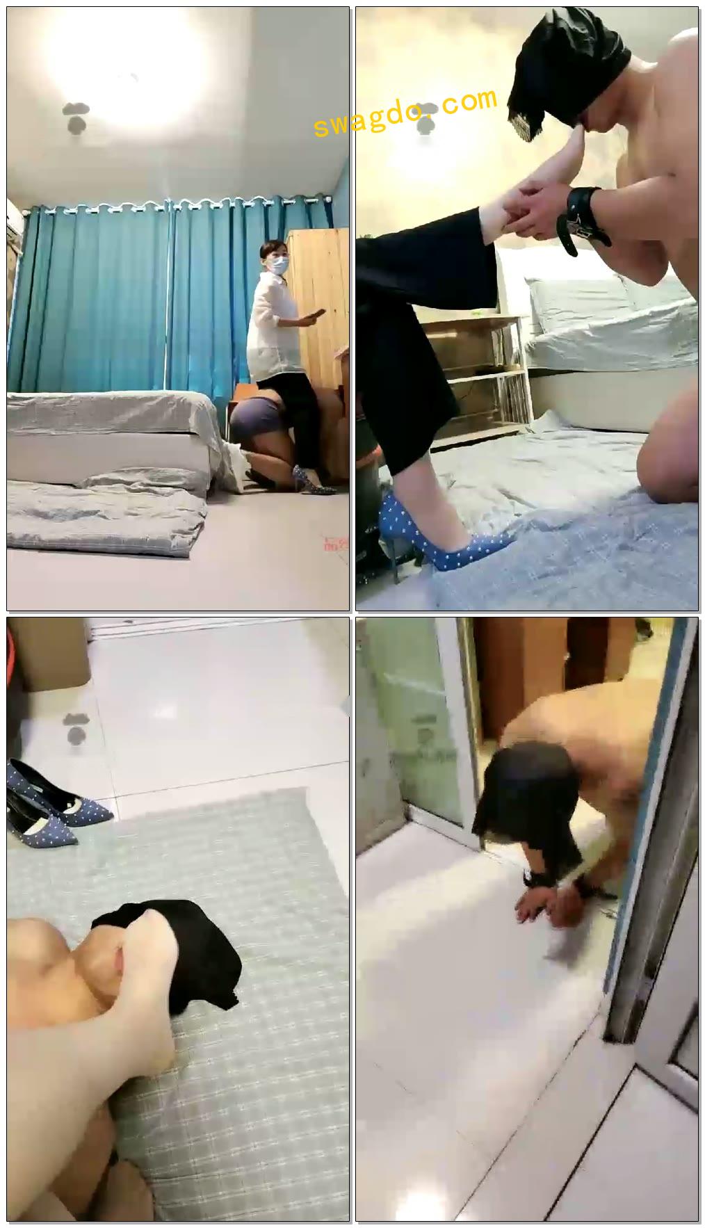 【飞飞S】德州狗子跪求虐【53分钟】【标清】