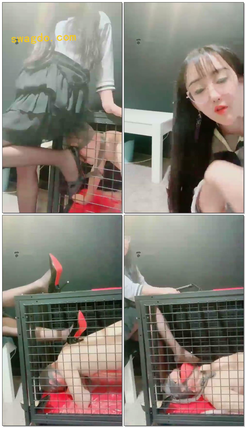 【无情大人】狗龙之下的它在挣扎经典版【26分钟】【高清】