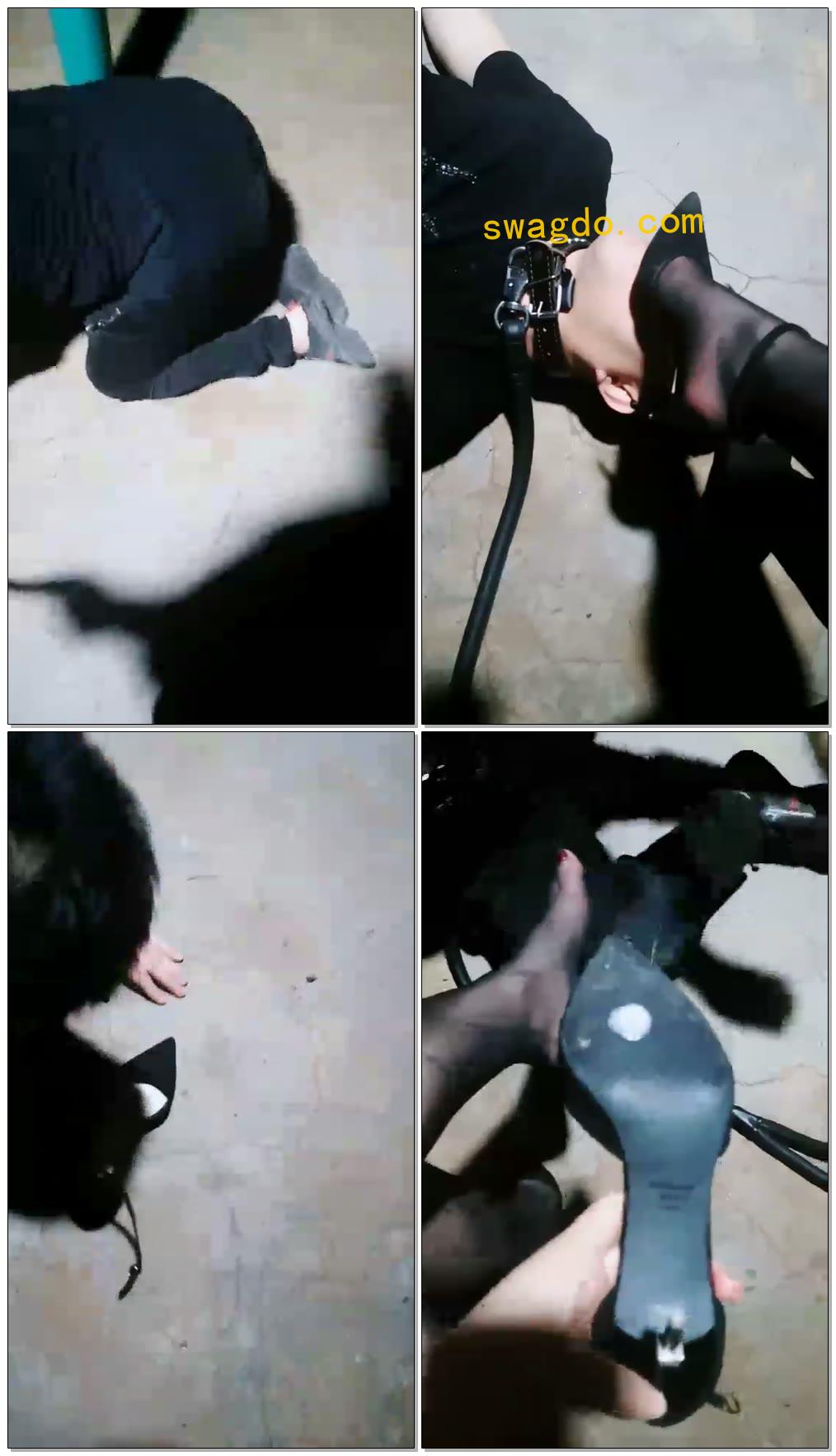 【丝皇女王】户外课玩圈养狗【41分钟】