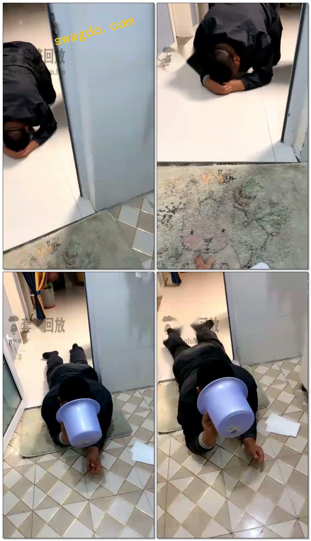 【灵汐S】狗儿子来喝妈妈的红金圣水【12分钟】