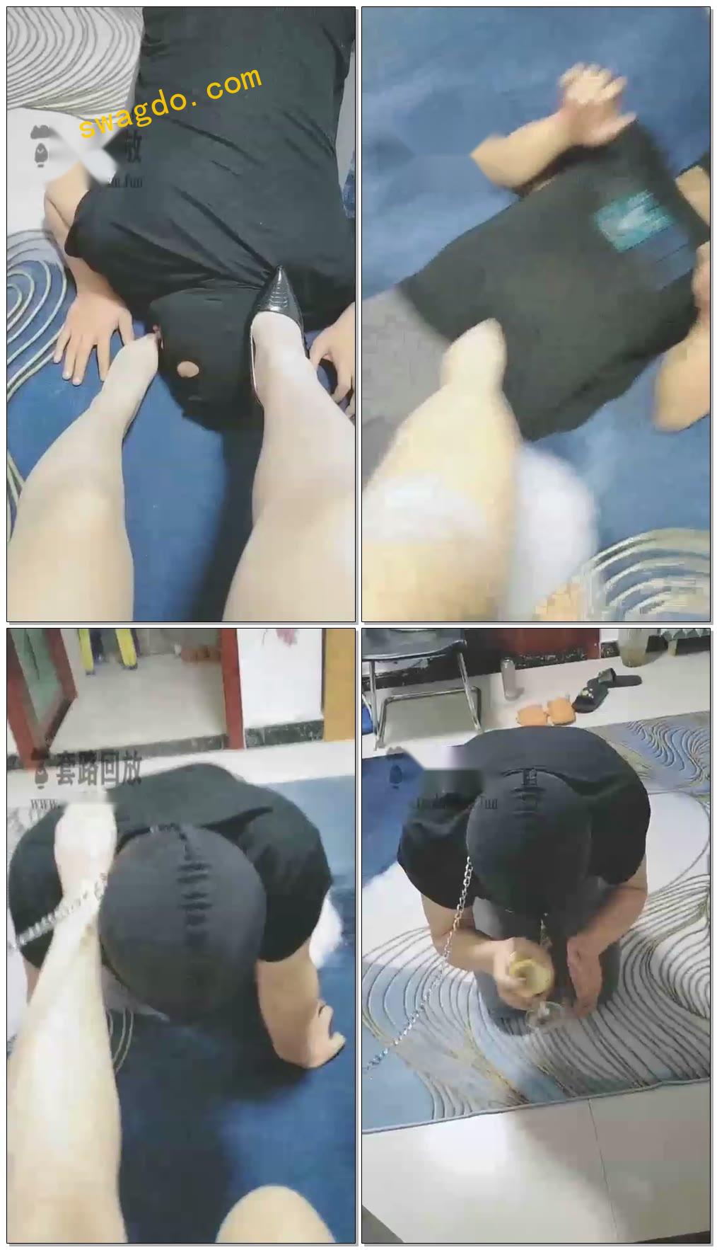 【魔鬼天使女王】赏狗圣水【39分钟】