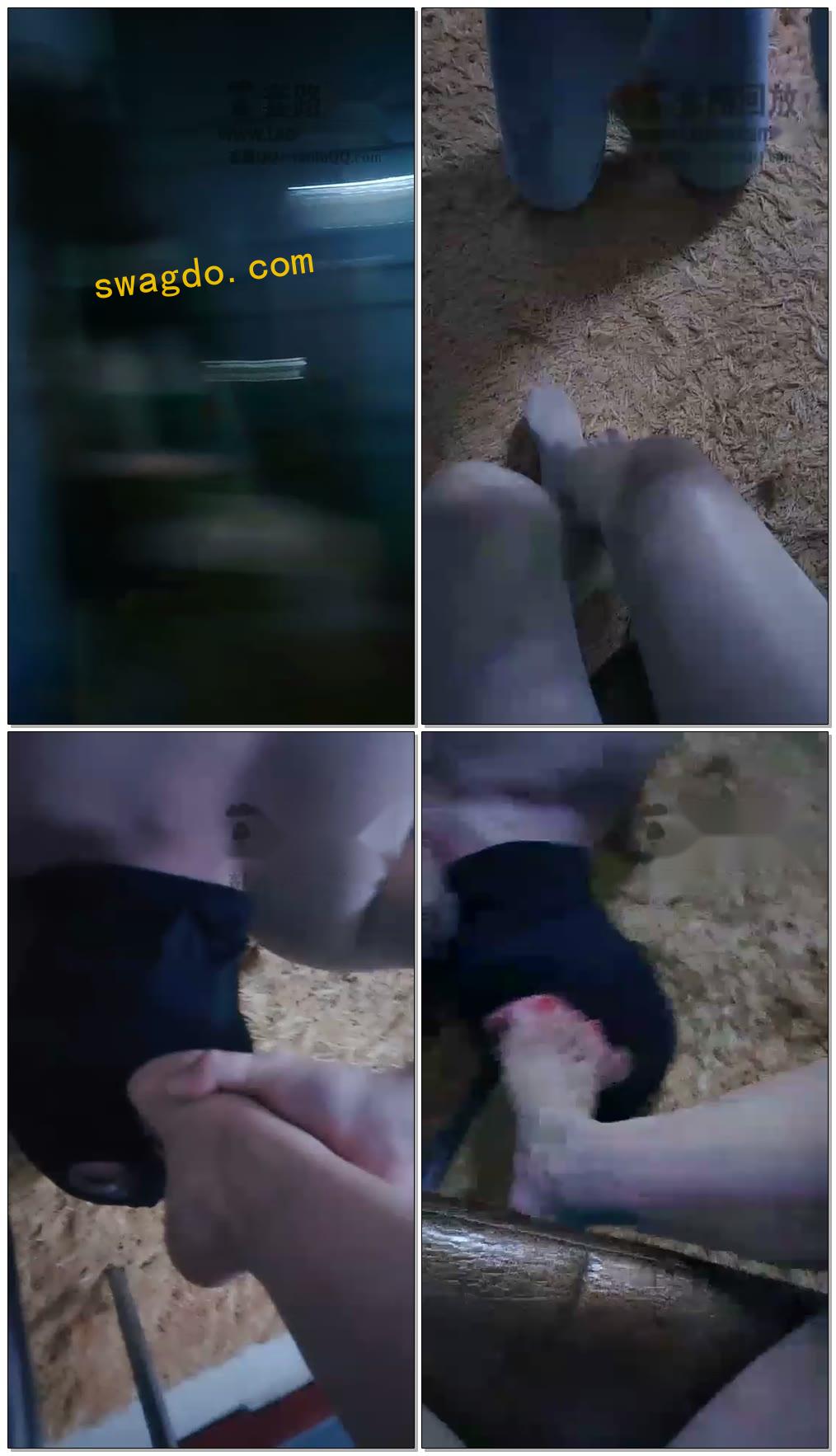 【沈阳灵魂使者】吃饭完玩玩舔脚狗深喉【62分钟】