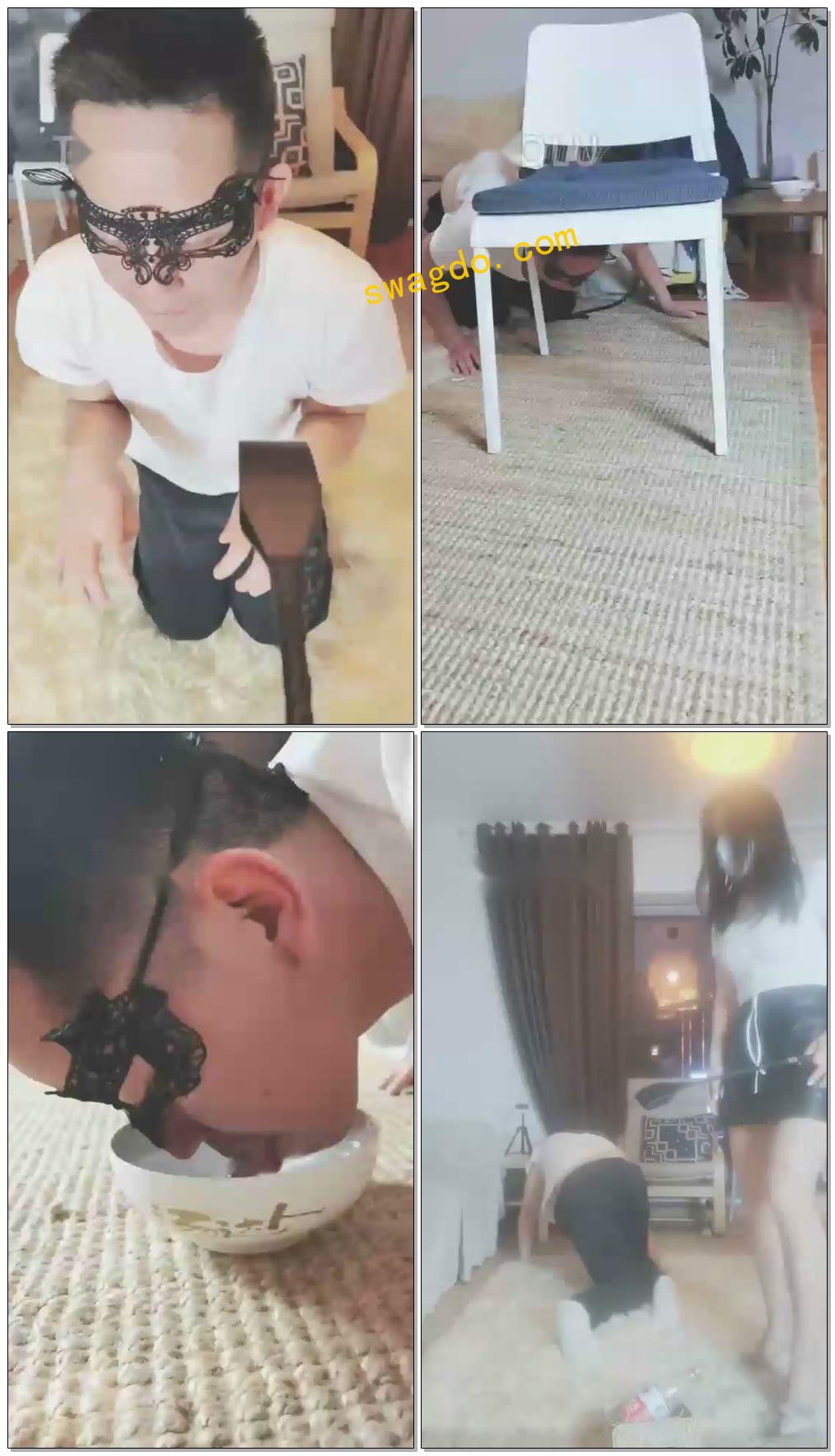 【巴莉女王】日常训狗贱狗【35分钟】