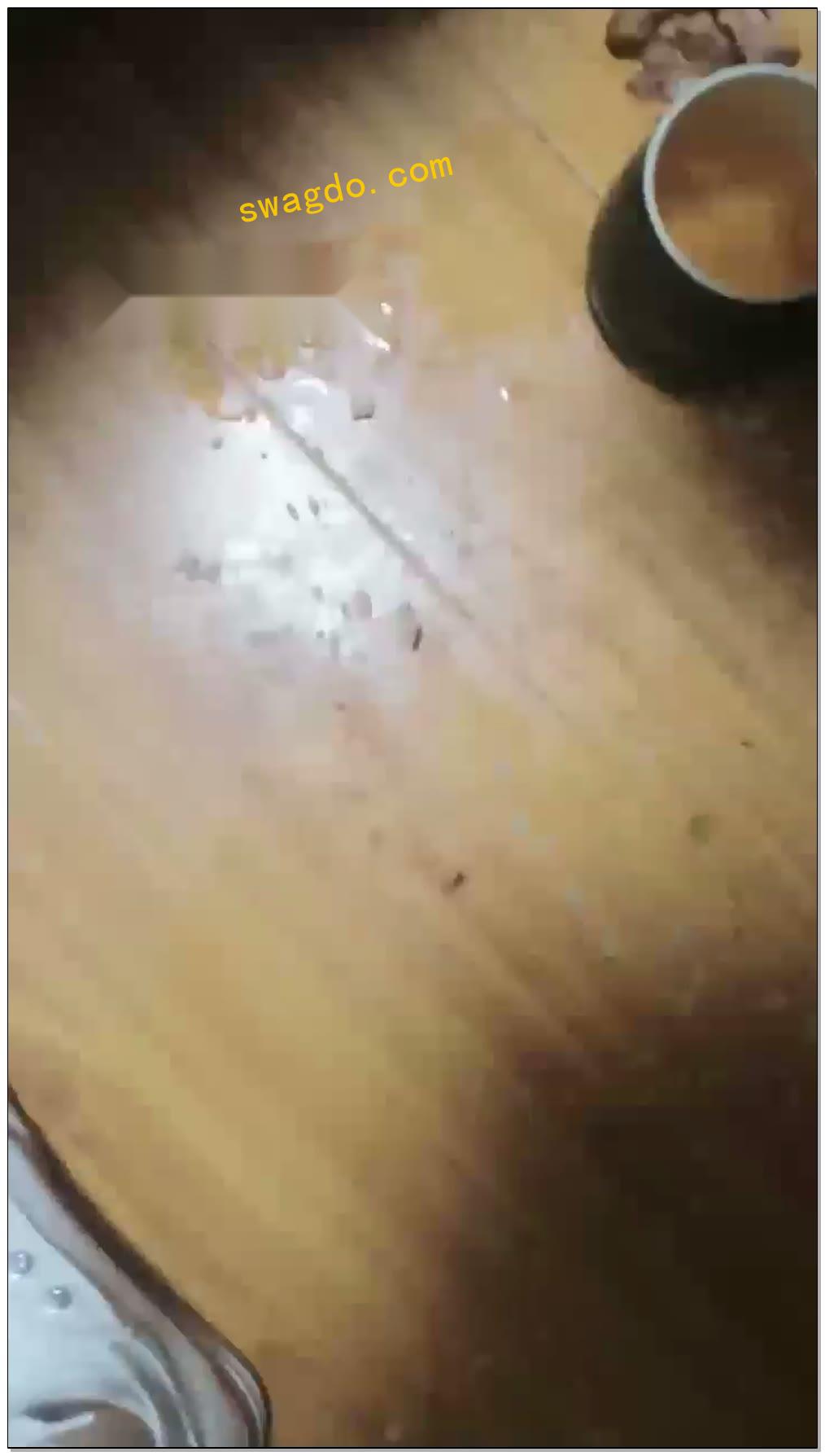 【冷欣情侣s】帆布鞋喂食圣水【22分钟】