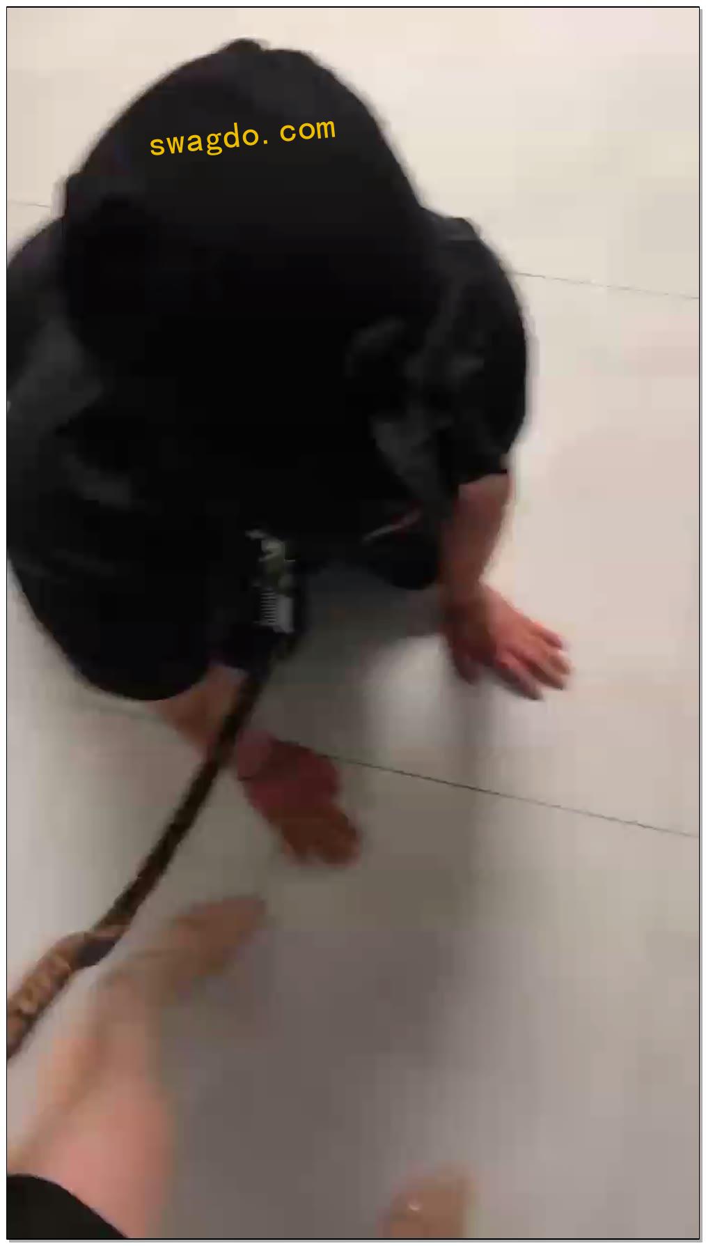 【莉莉丝s】楼道调狗【8狗子】