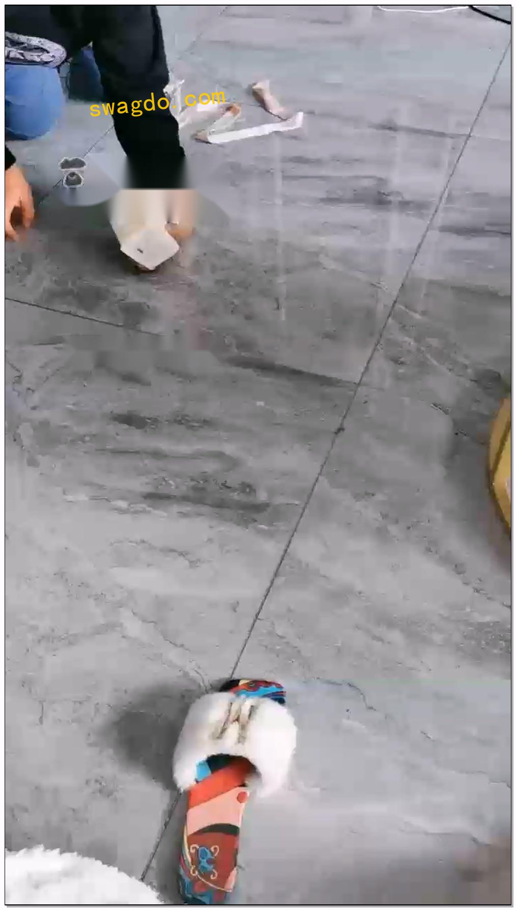 【语晴s】贱狗试用期【33分钟】