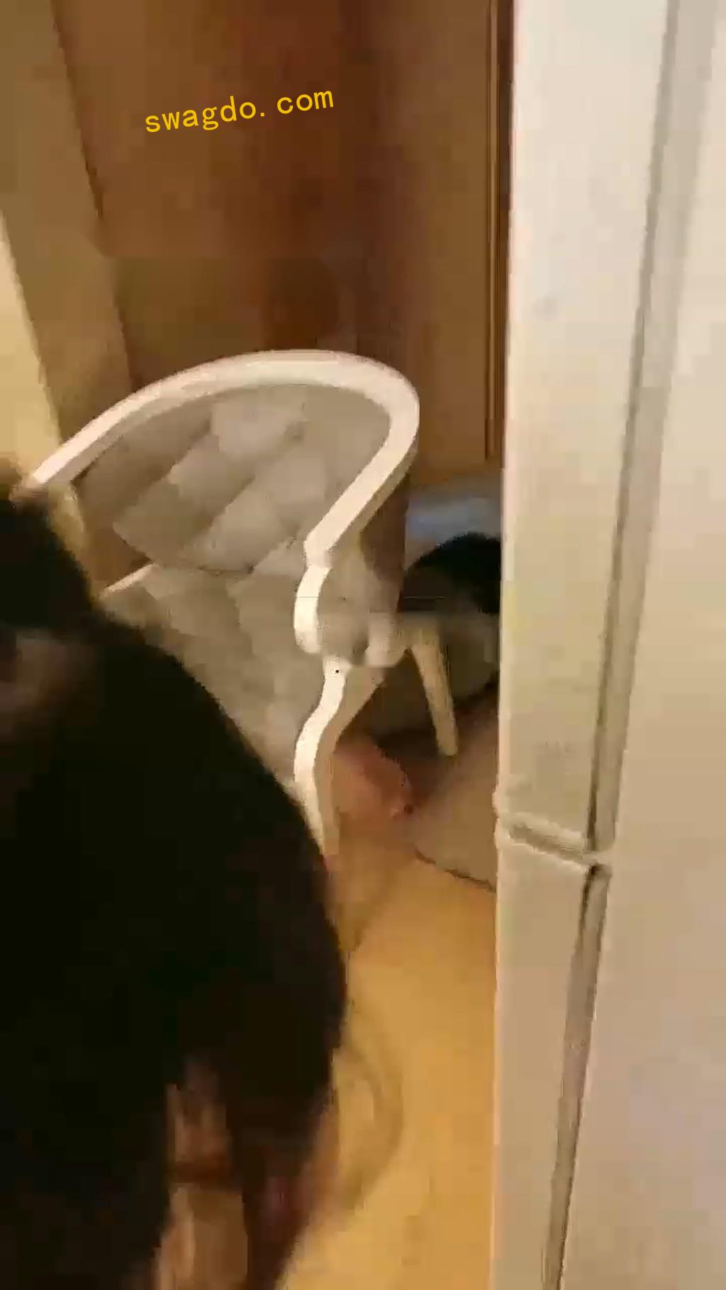 【金桔】被五位女大学生群殴【62分钟】