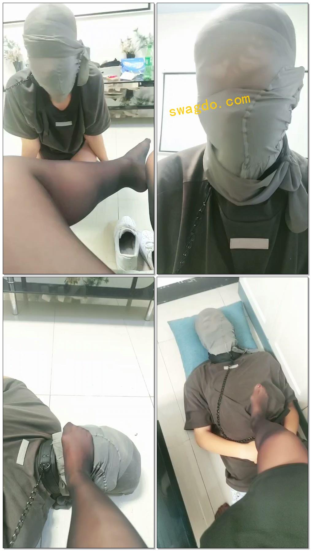 【安然】直播调狗【18分钟】