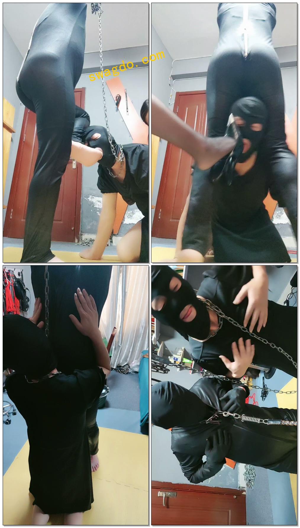 【东营天香百合】俩狗互掐【25分钟】