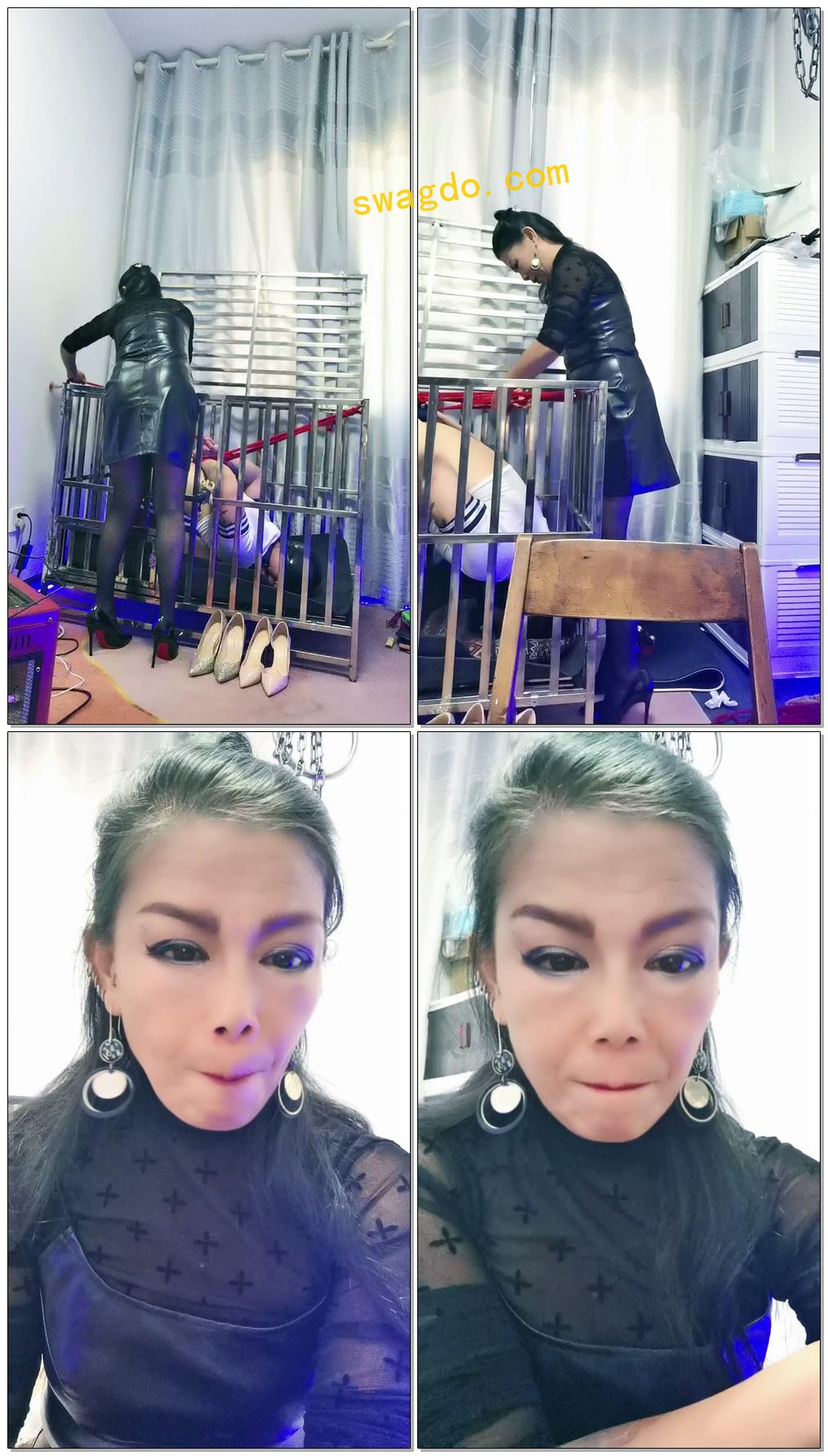 【浮华s】玩笼中狗【102分钟】