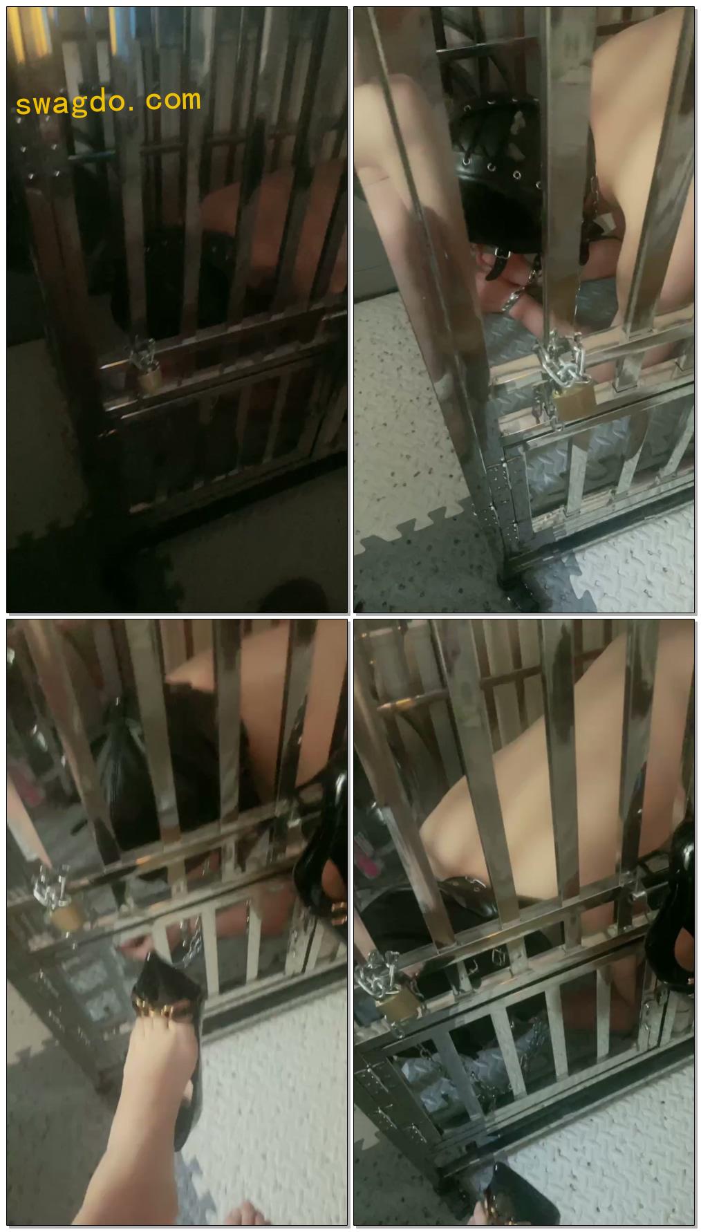 【西安梦溪s】圈养第二天【18分钟】