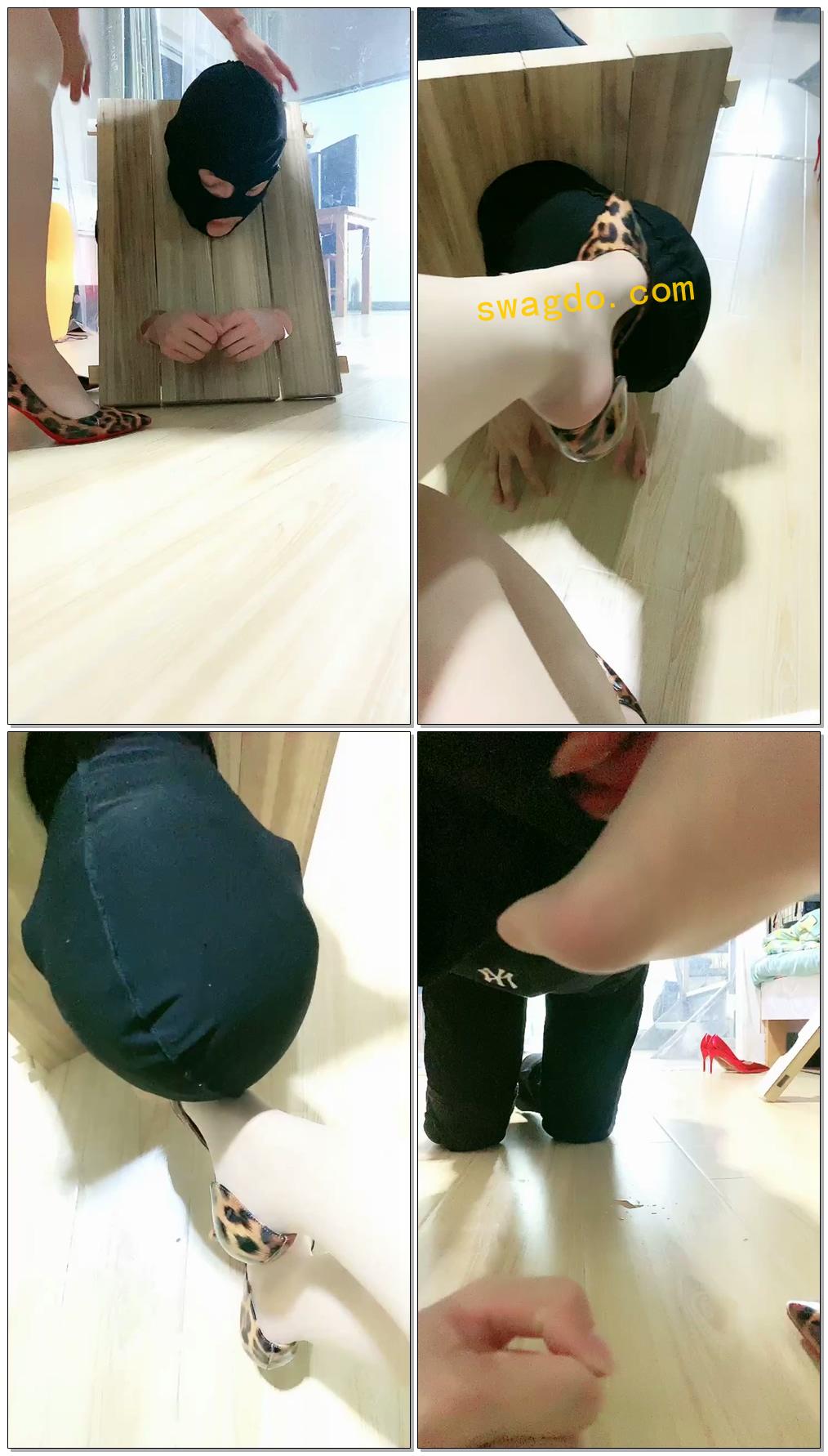 【缘彼S大大】第一视角玩狗枷锁舔脚圣水【30分钟】