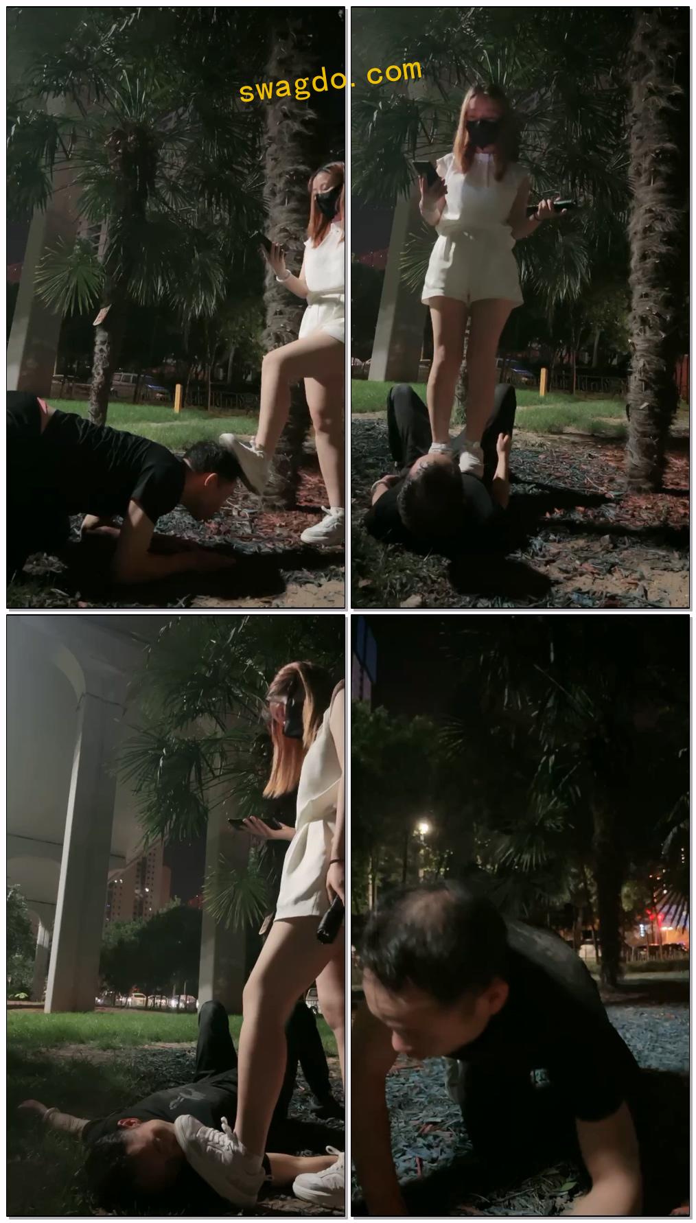 【语阳】户外玩狗【30分钟】