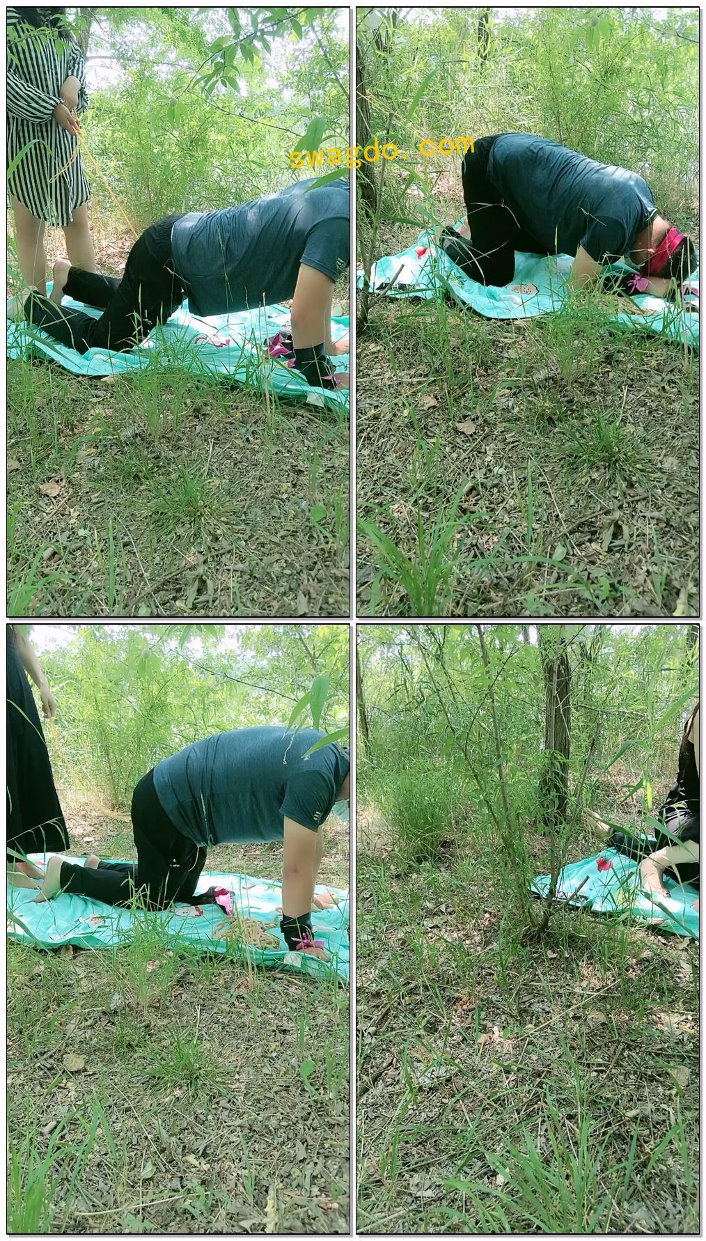 【青妍艾斯】户外调教狗子【36分钟】