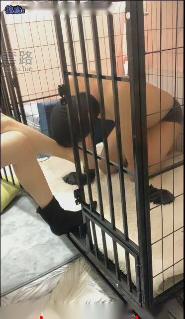 圈养：怎么养狗怎么养你【希希_bb】