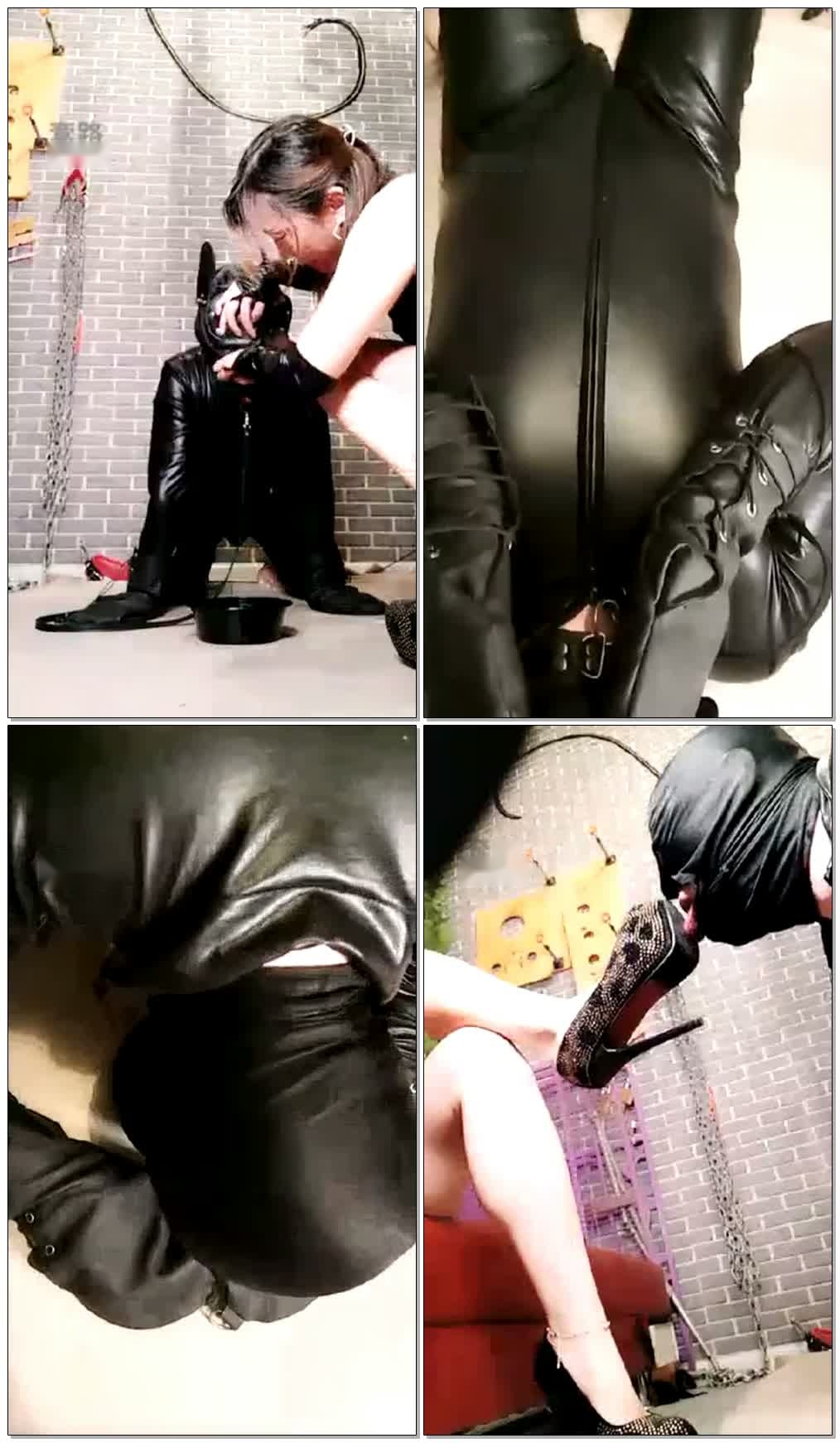 【9.18】真服气了(调教狗奴)【36分钟】【东营天香百合】