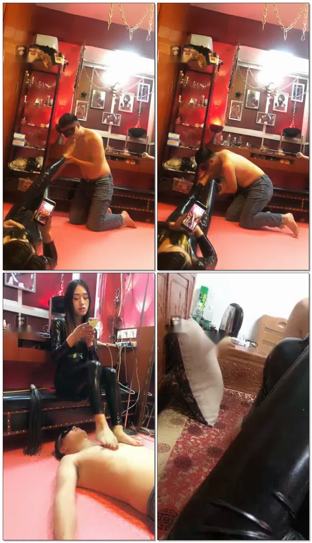 【11.11】玩玩狗【28分钟】【喬傢大院直播间】