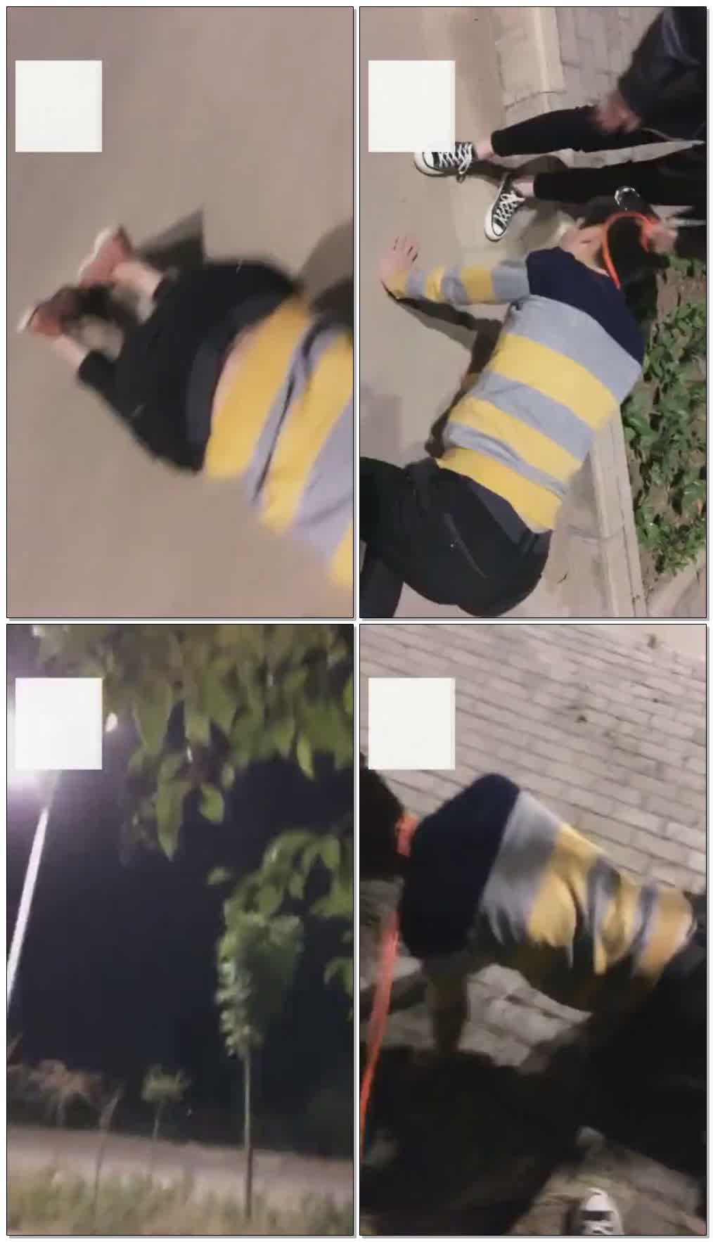 【美蒂尼s】帆布鞋短袜野外带狗子溜弯【33分钟】