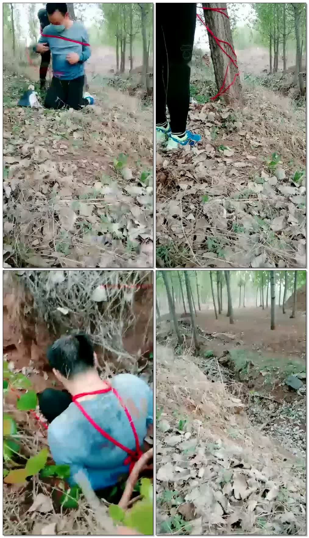 【灵犀女ss】野调羞辱贱狗【36分钟】