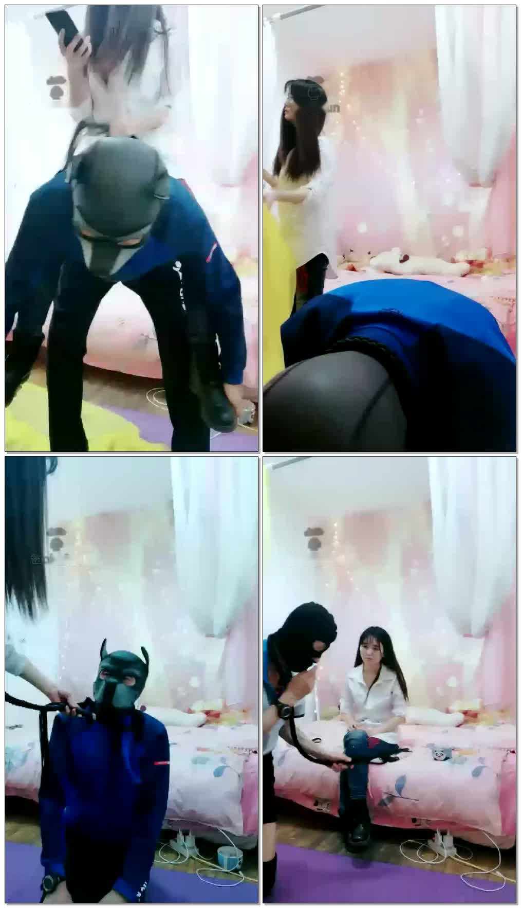 【猫咪殿下】新人调狗【65分钟】