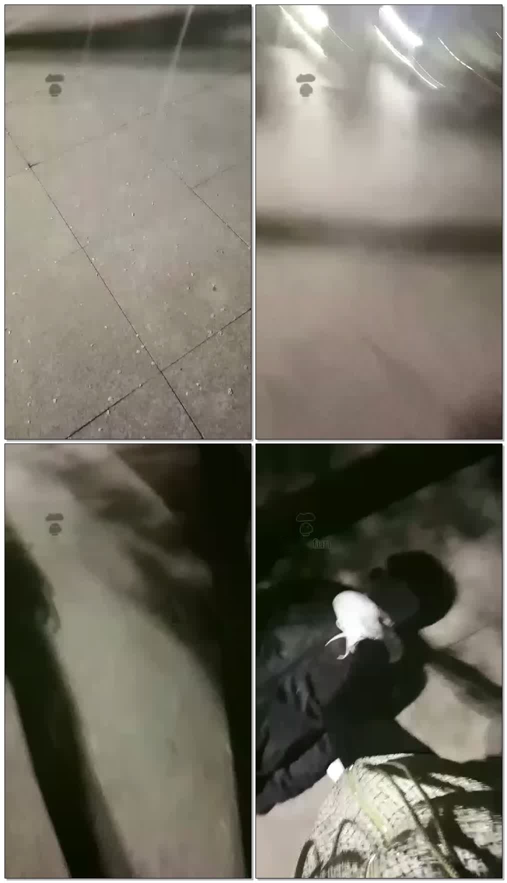 【楚琪S】户外调教【42分钟】