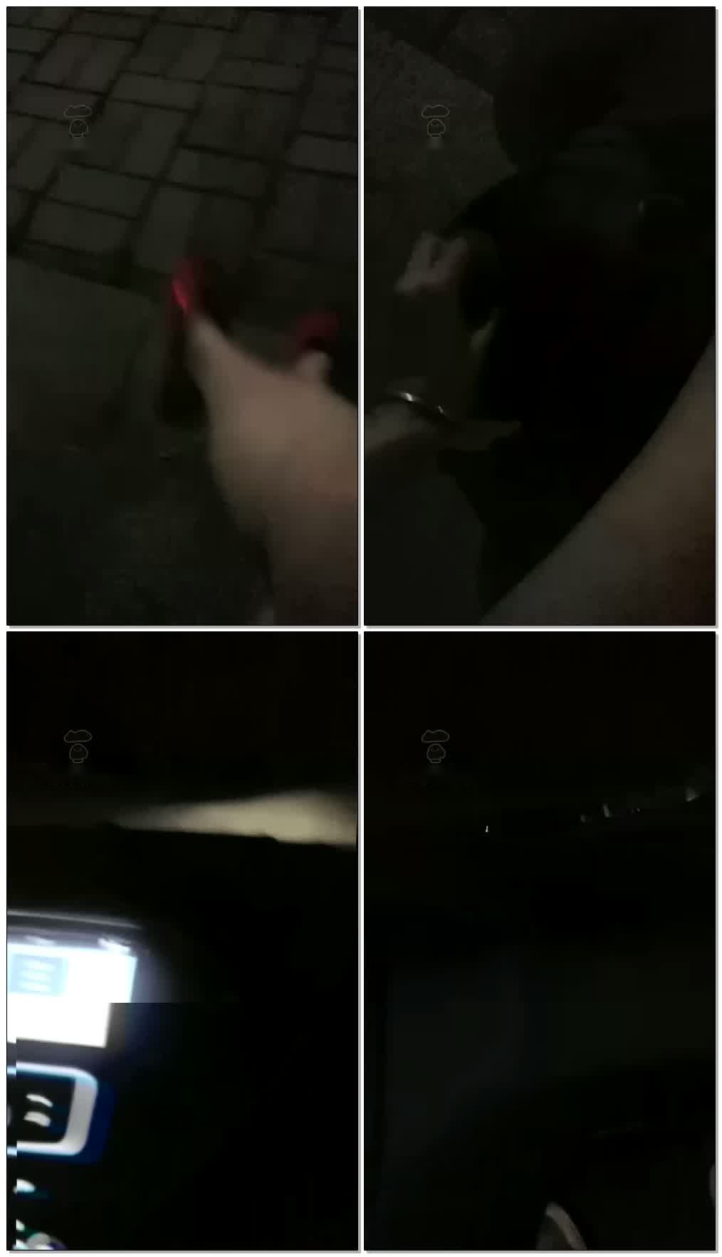 【皮鞭下的诱惑s】凌晨户外2只贱狗【34分钟】【高清】