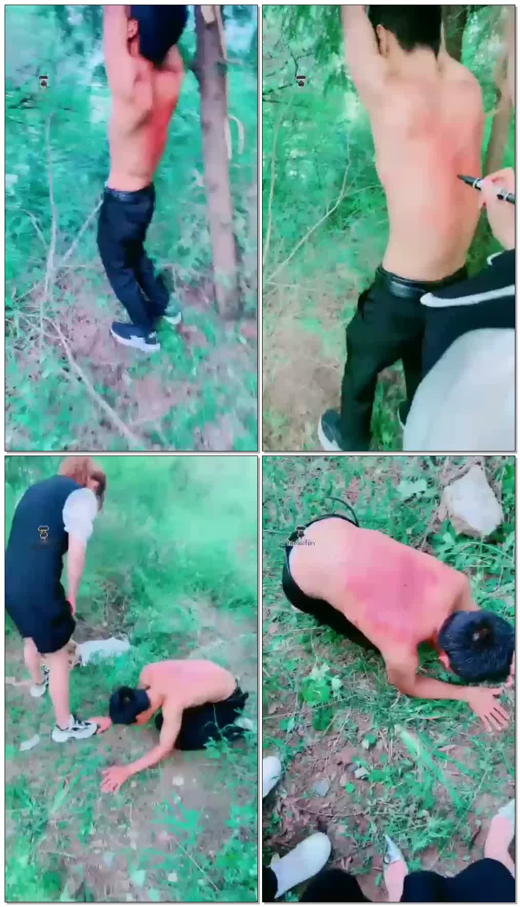 【清墨S】户外野调贱狗,吊虐鞭打【29分钟】【高清】