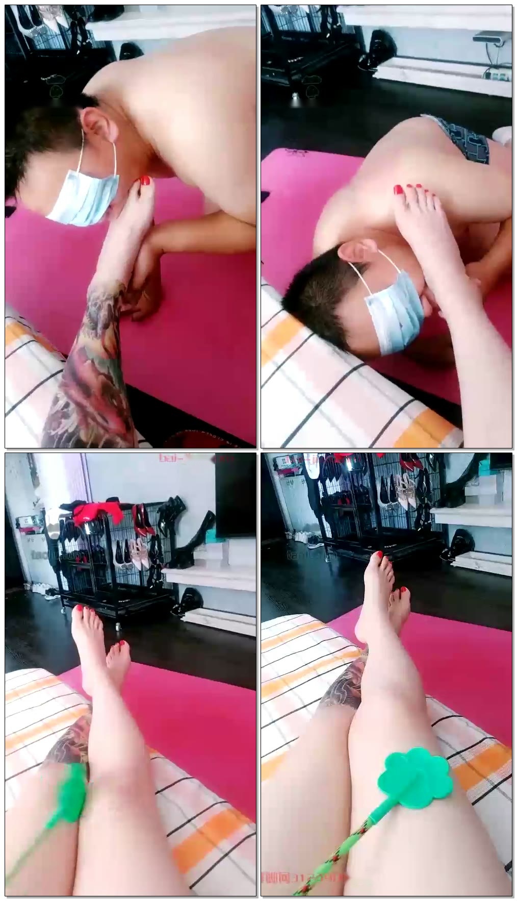 【竺南宫S】兢兢业业舔脚奴【65分钟】【标清】