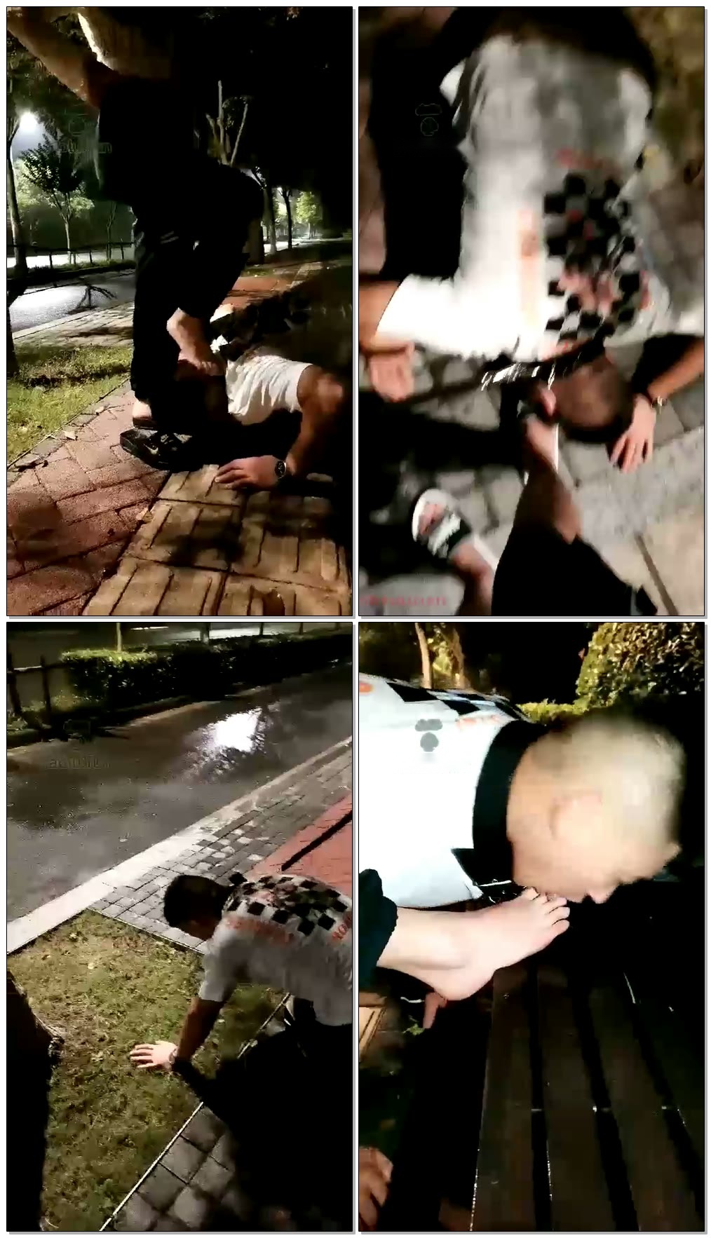 【菜小心S】雨夜遛狗【32分钟】【标清】