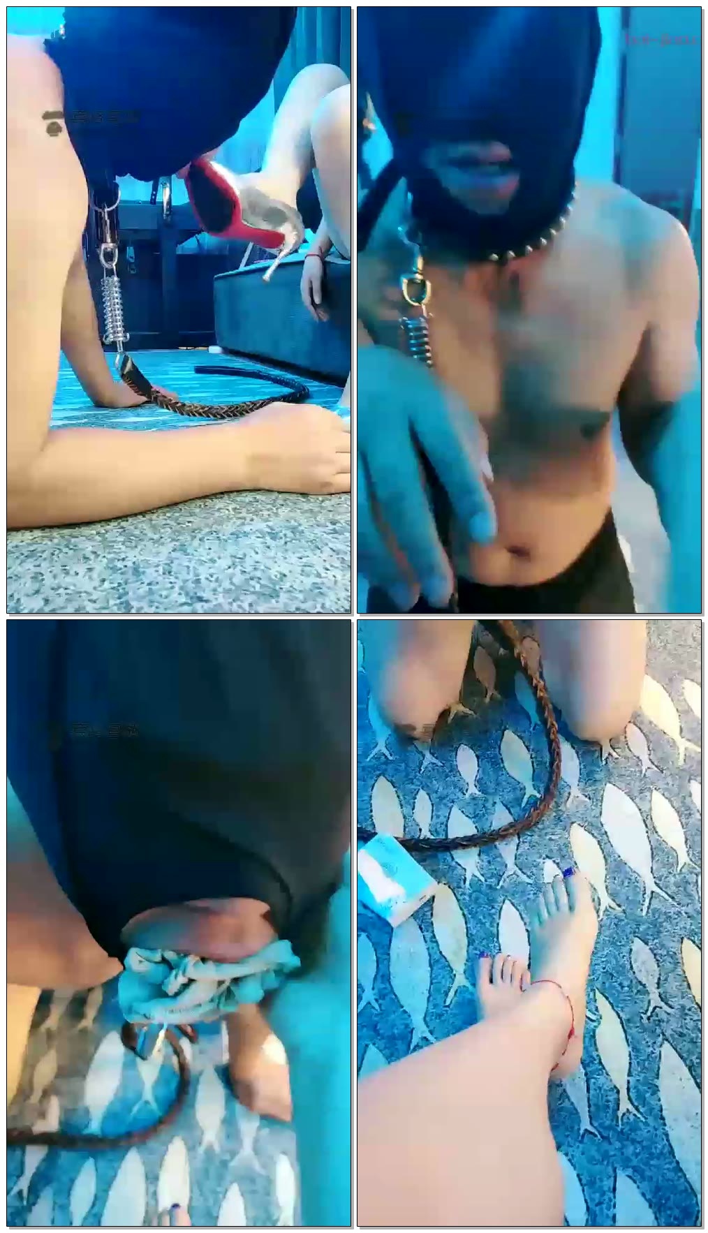 【东营天香百合】胯下狗肆意羞辱,在主人脚下抬不起头来【45分钟】【标清】