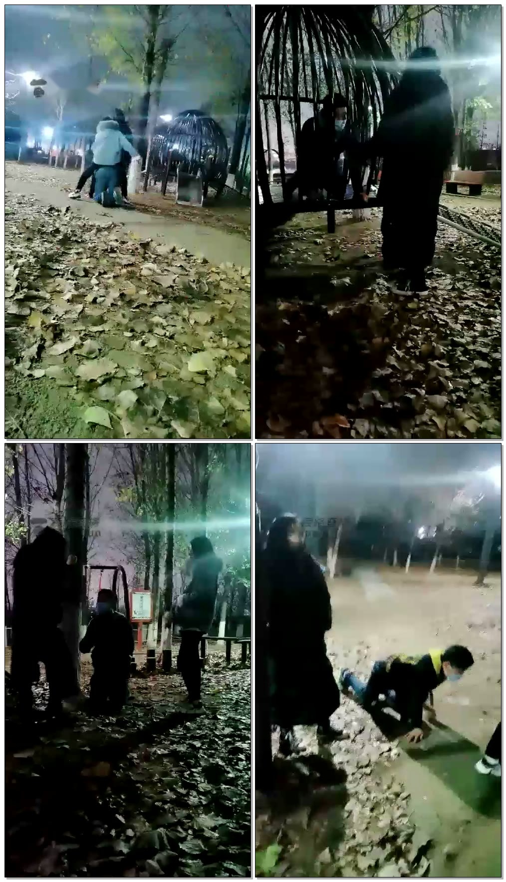 【笨笨狼】户外双主训狗【17分钟】【标清】