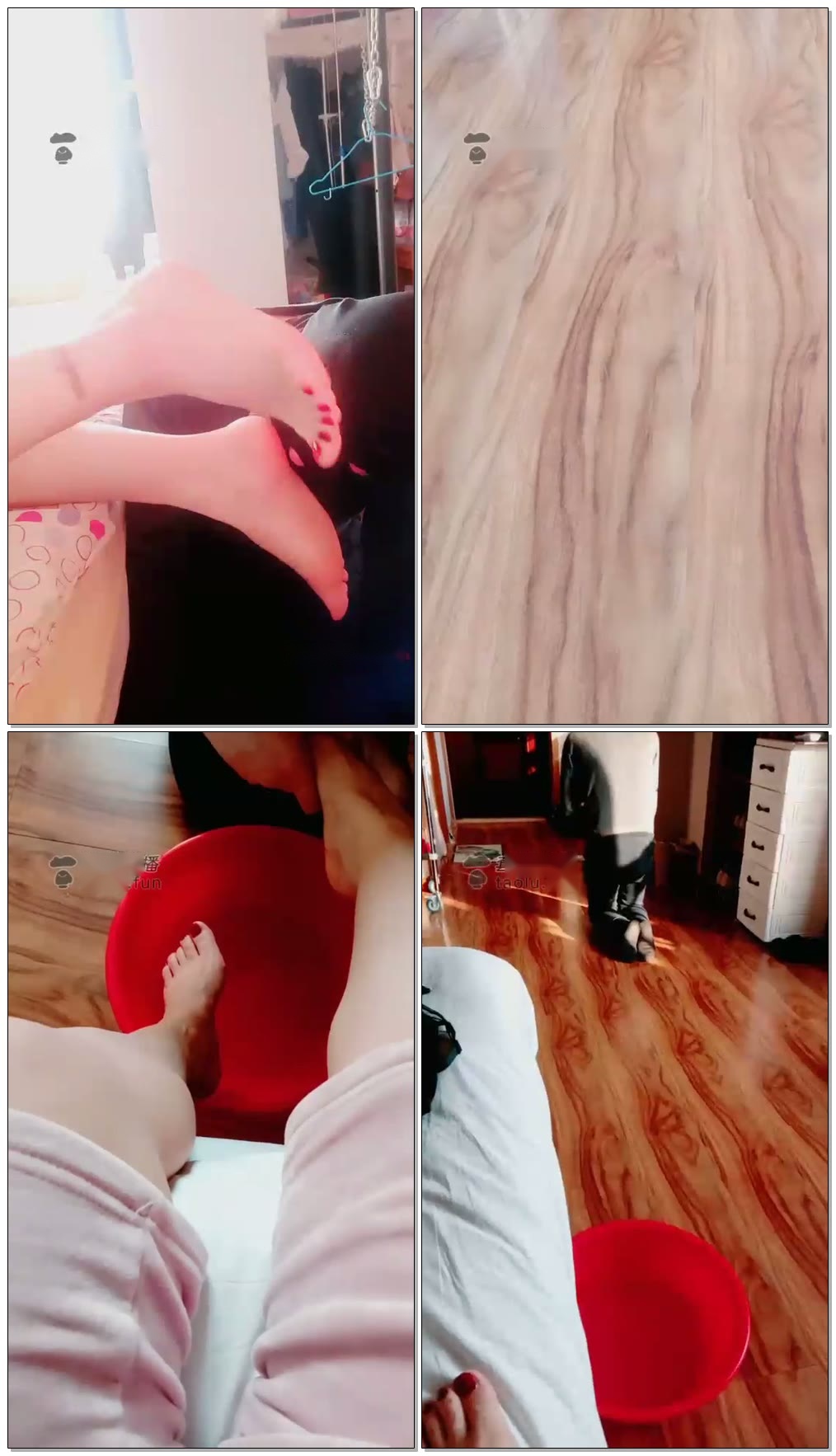 【灵犀女ss】全自动狗嘴洗脚机【76分钟】【高清】