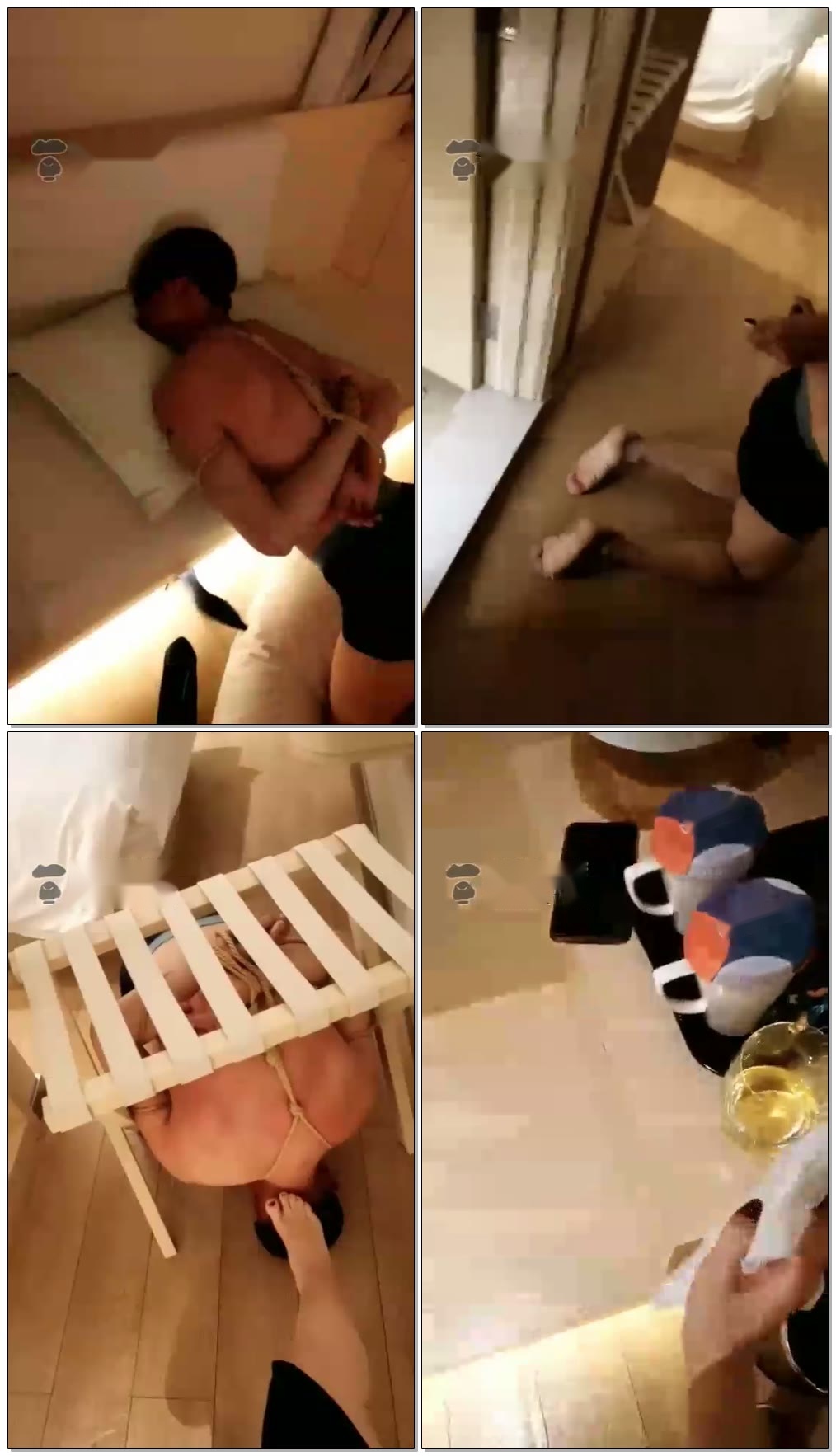 【妃妃S】狗,怎么疼它【40分钟】