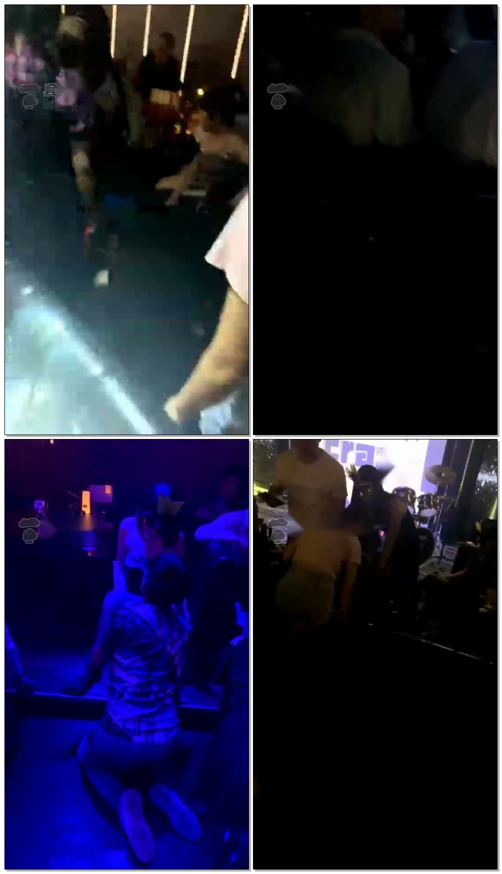 【黛安娜S】杕黛安娜工作室,主题吧,现场直播。【52分钟】