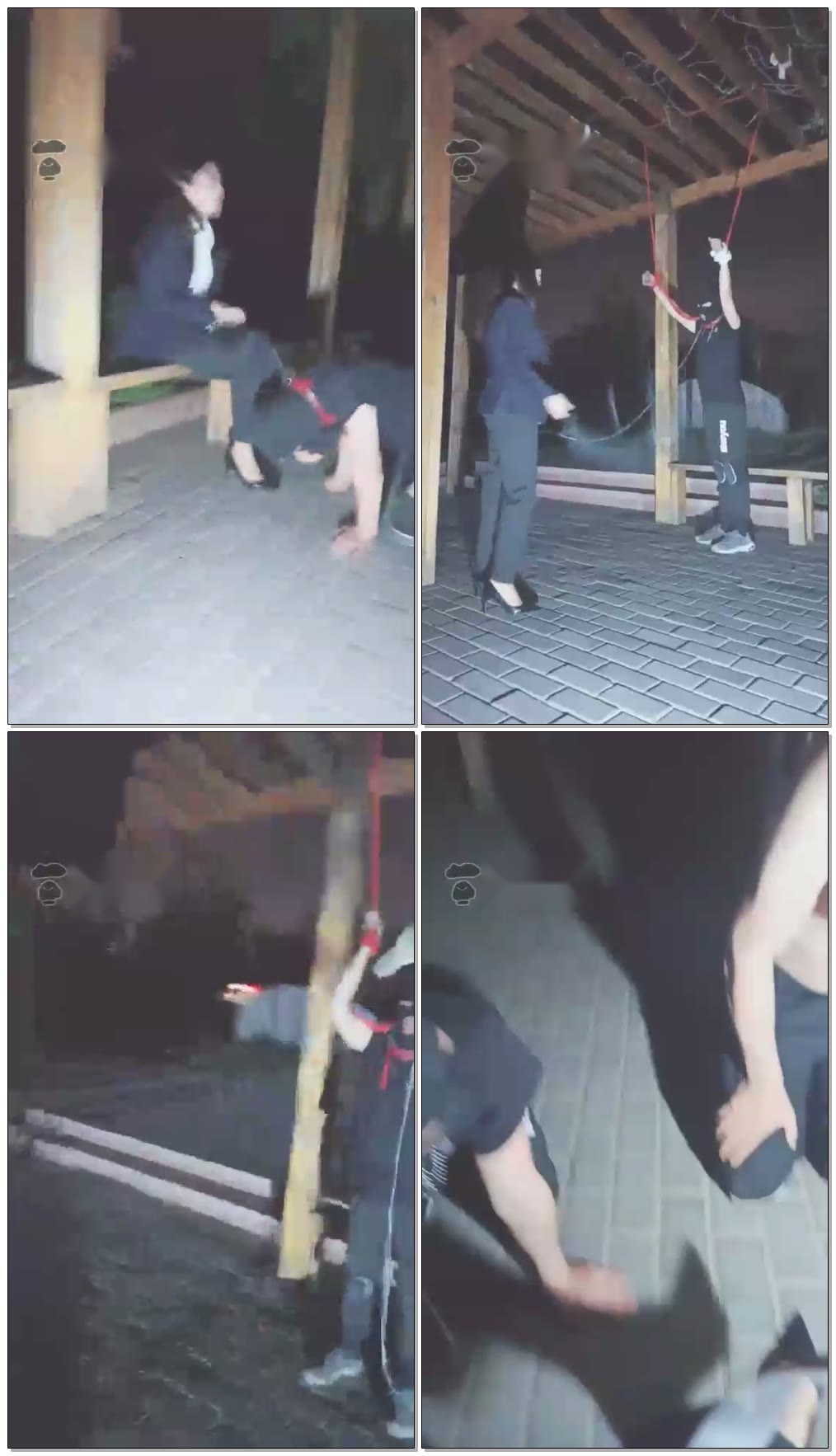 【依然S】户外夜晚调狗【52分钟】