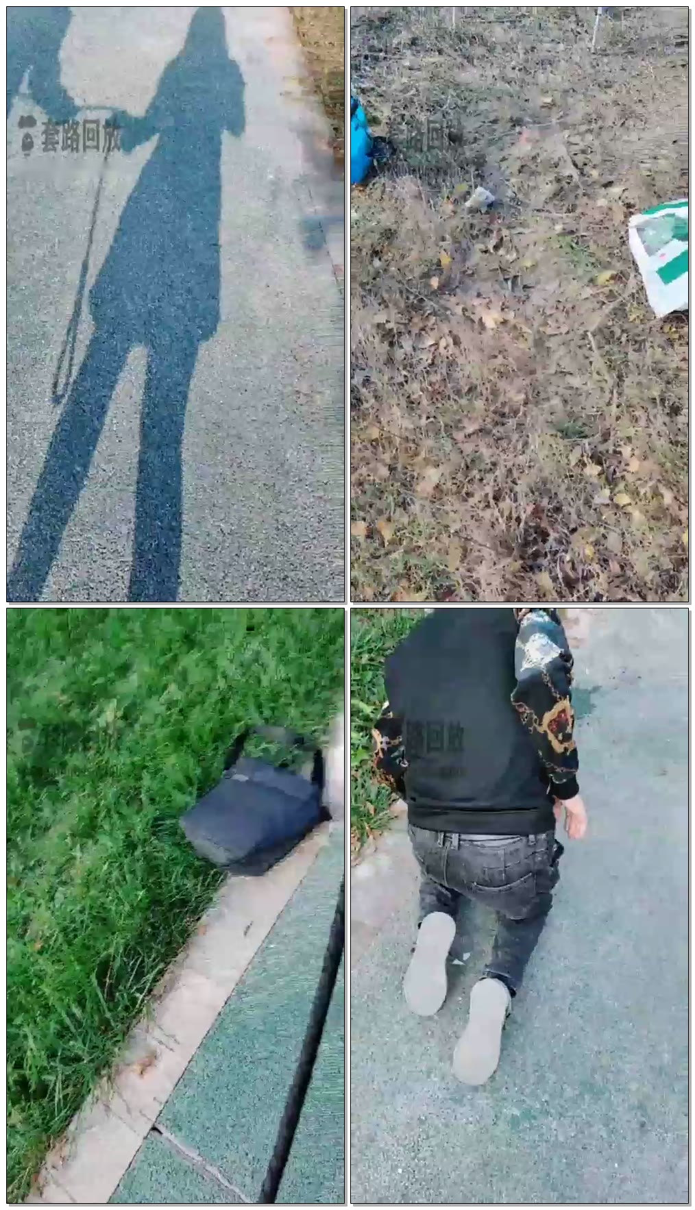 【魅影女神】好天气遛狗偶遇,羞辱虐待强迫【73分钟】