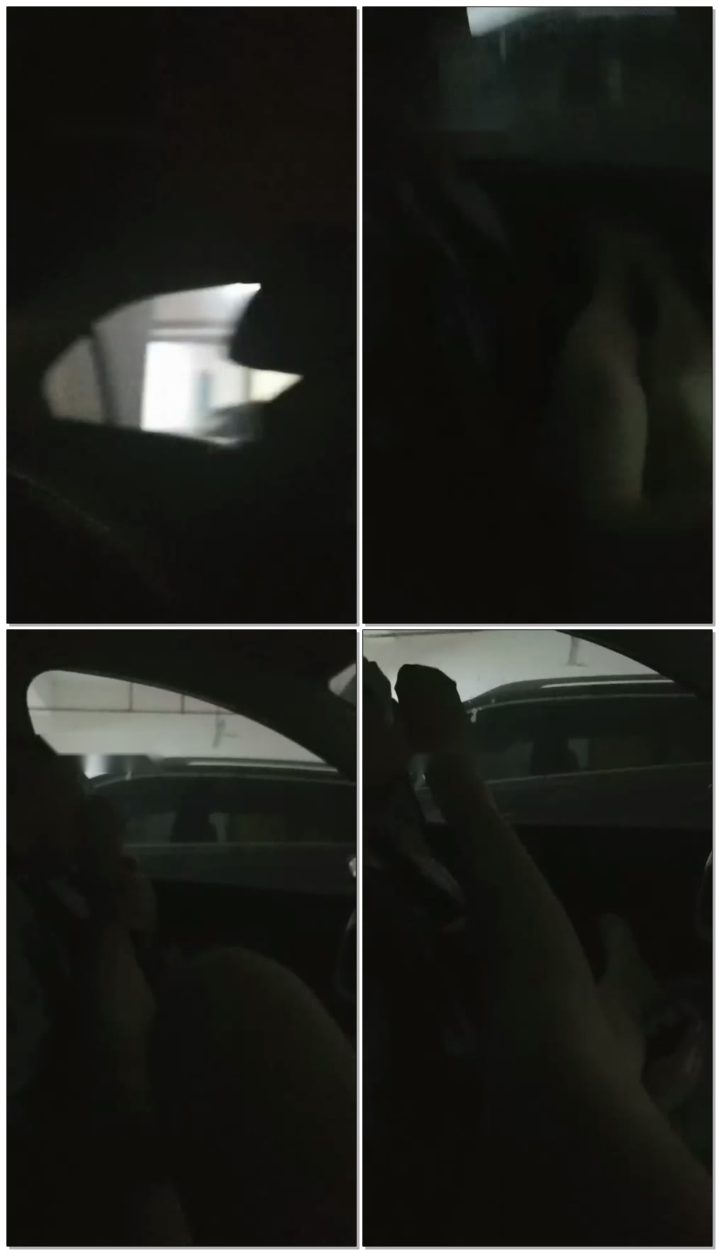 【苏苏大大大人】地下停车场舔刺激【20分钟】