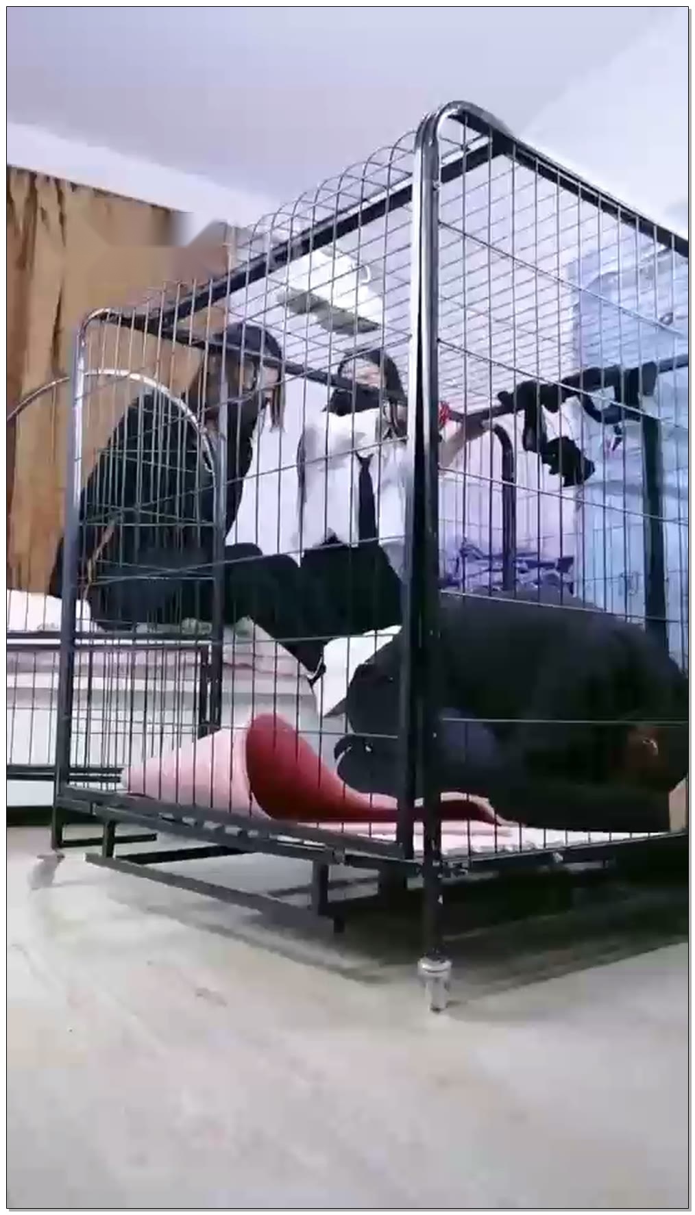 【傲柔】双主调教笼子里的圈养狗,舔鞋舔脚,踩舌头,踩包子喂食【40分钟】