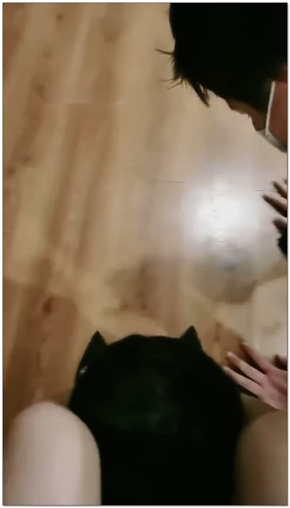 【海绵大大s】调教双狗【50分钟】