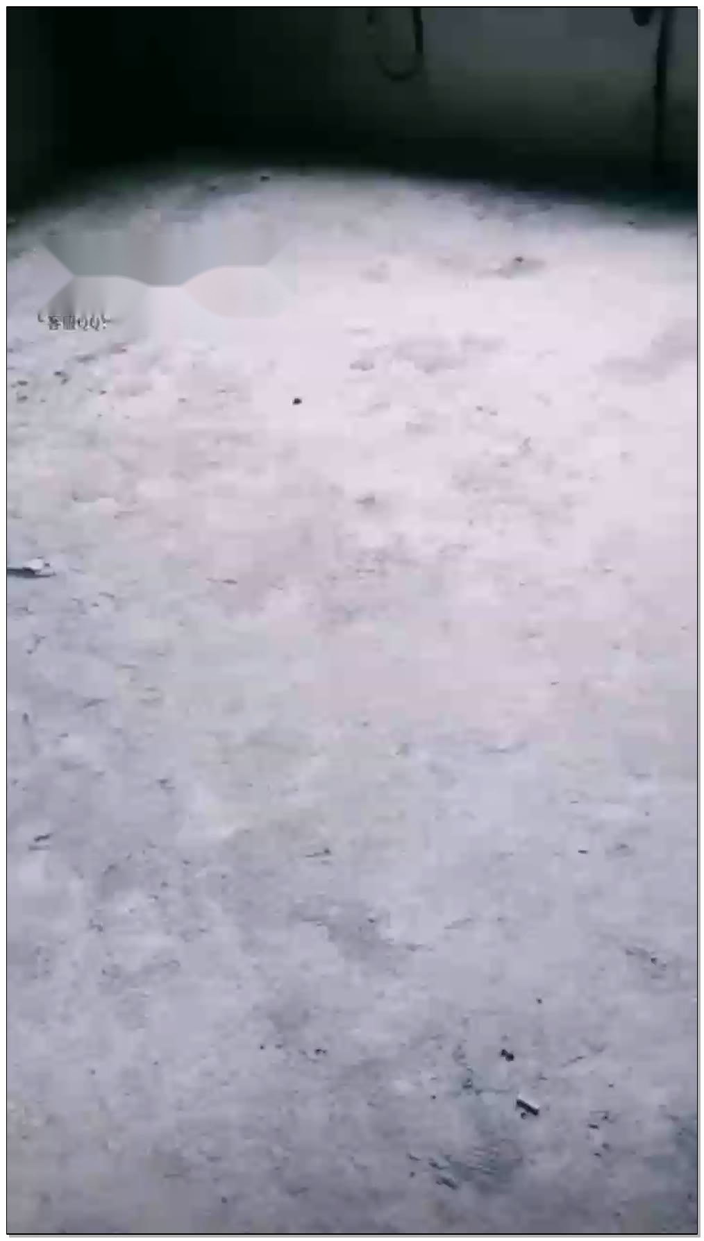 【千韵S&沐晴S&女帝奶酪】三女主户外烂尾楼调教素人【56分钟】