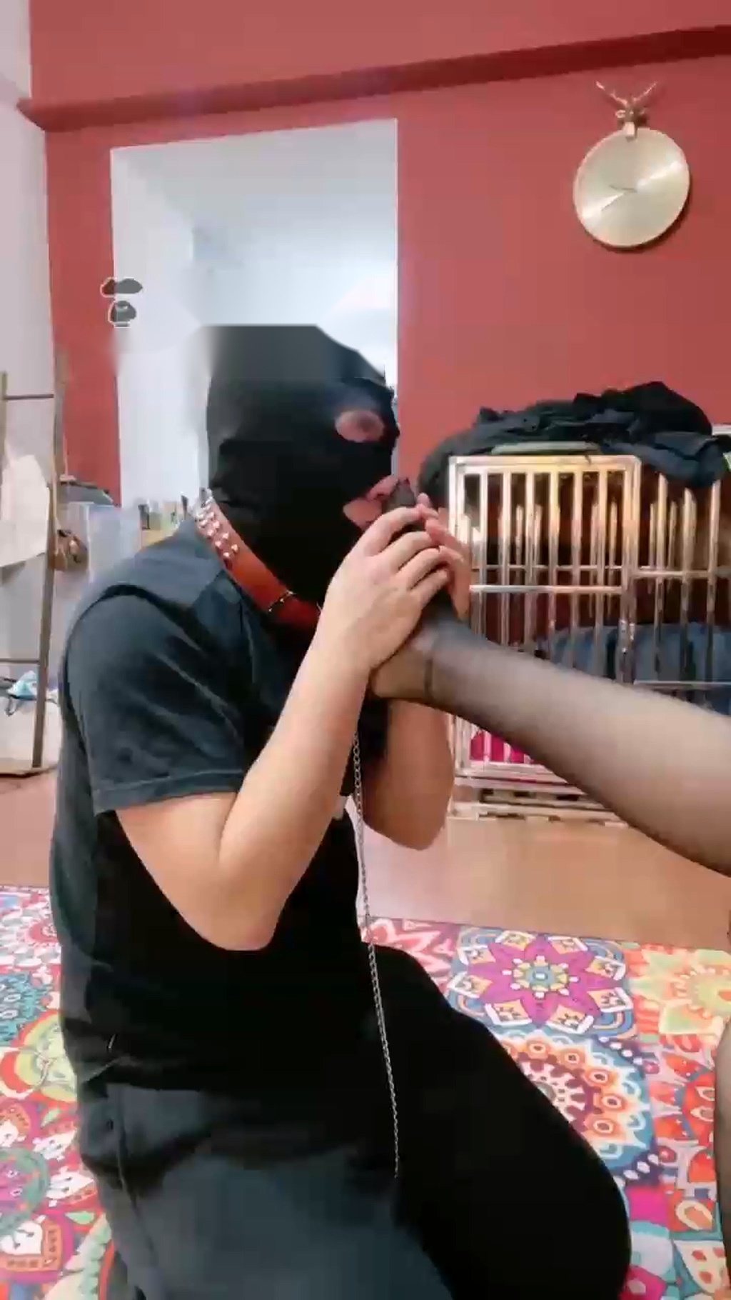 【小祖宗】世界上最蠢的奴才【30分钟】